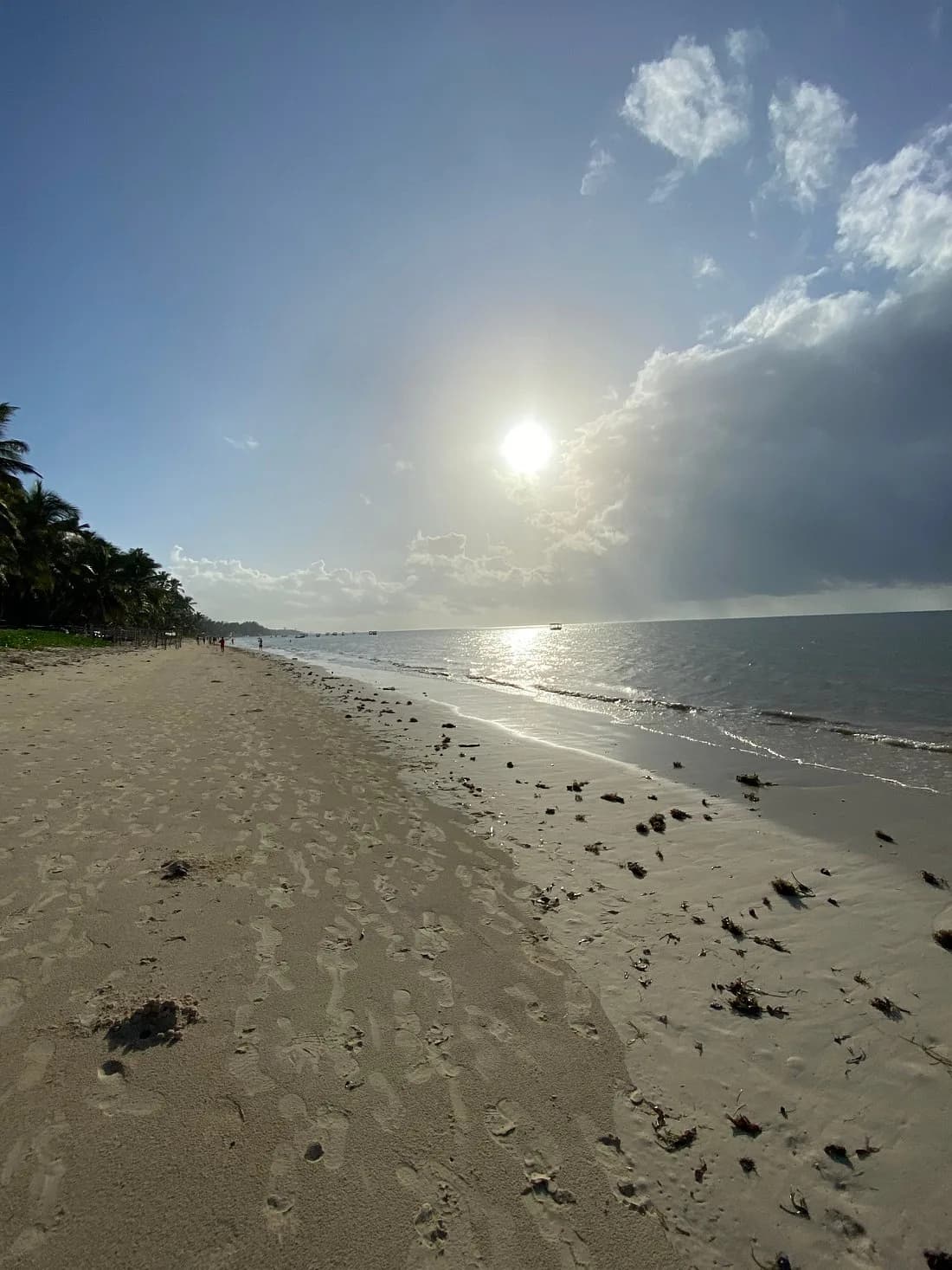 White sand beach with palm trees on Kenya's south coast